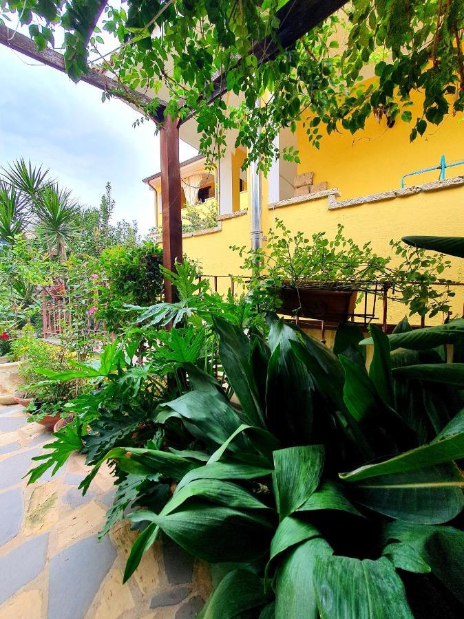 Bed and Breakfast Sinis Palmas Arborea Exterior foto